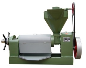 MÁY ÉP DẦU THỰC VẬT CÔNG SUẤT LỚN